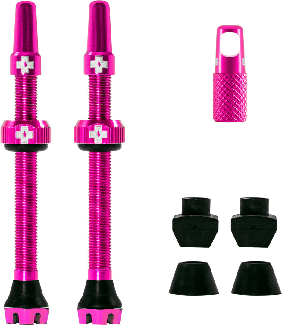 V2 Tubeless Valve Kit