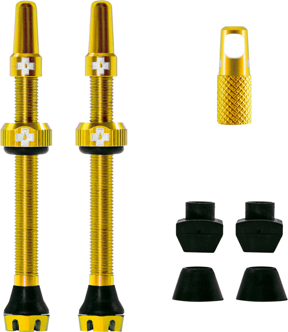 V2 Tubeless Valve Kit