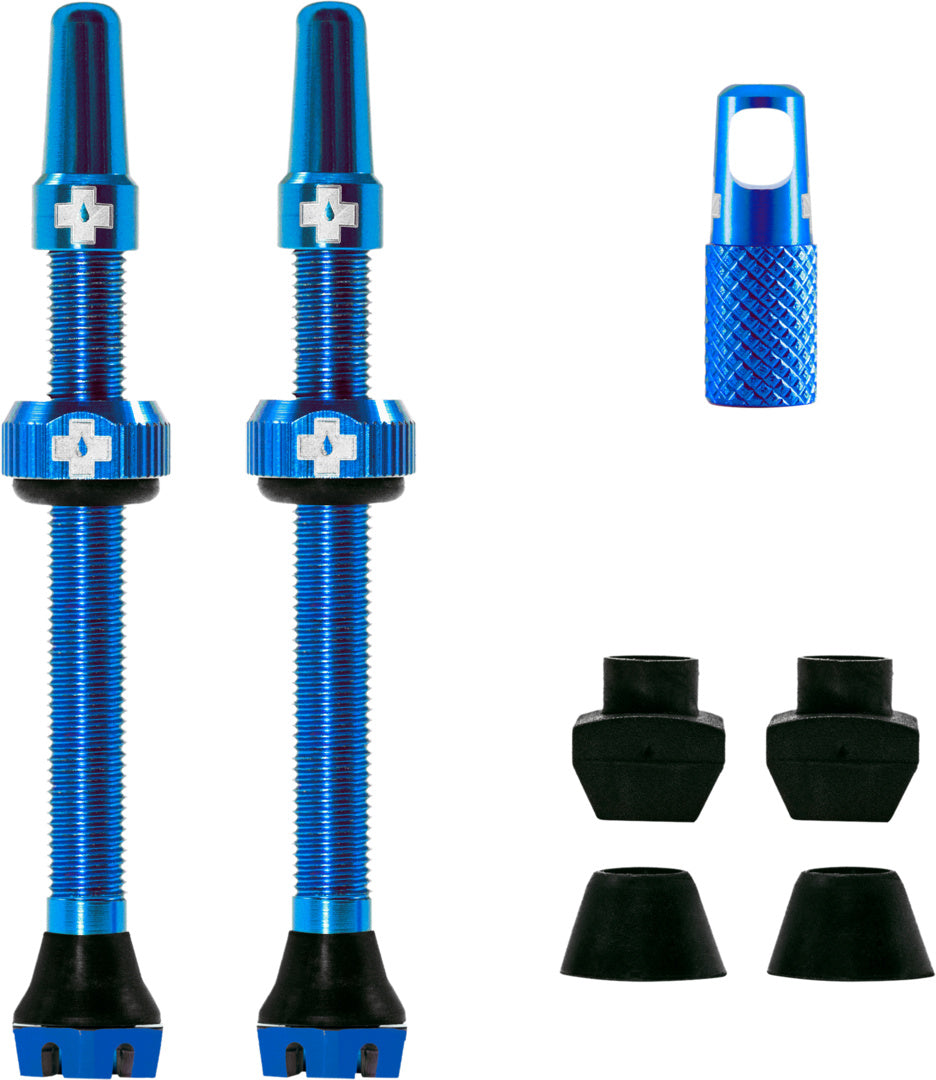 V2 Tubeless Valve Kit