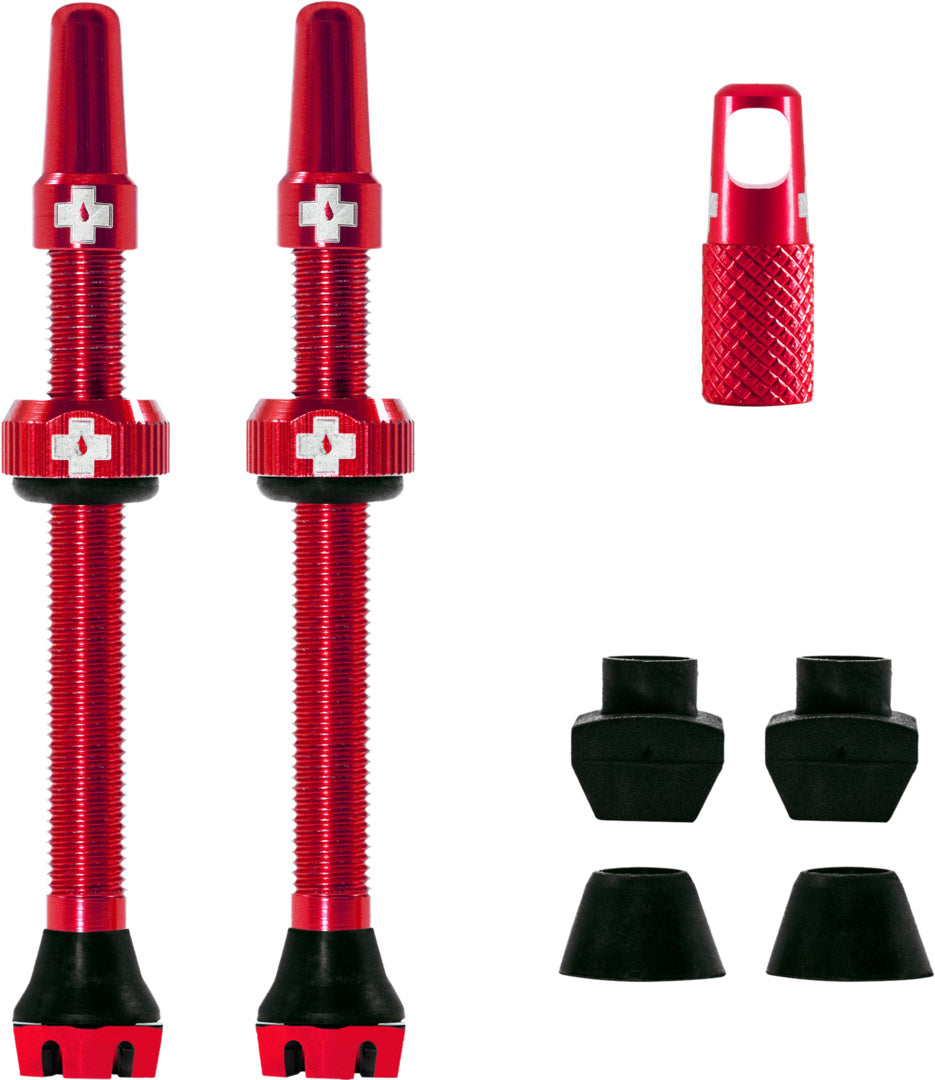 V2 Tubeless Valve Kit
