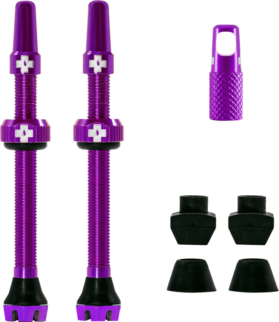 V2 Tubeless Valve Kit