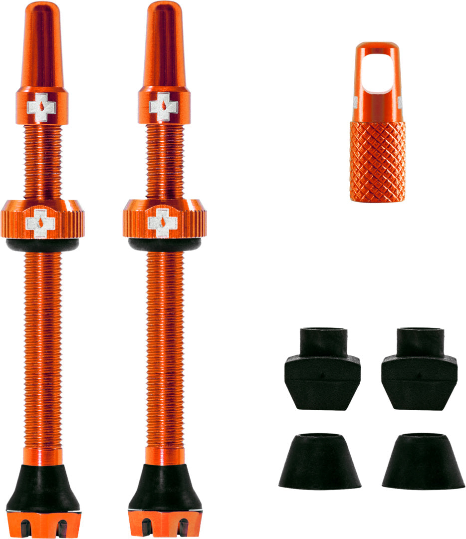 V2 Tubeless Valve Kit