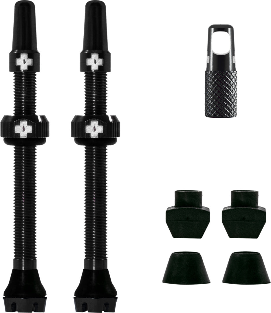 V2 Tubeless Valve Kit