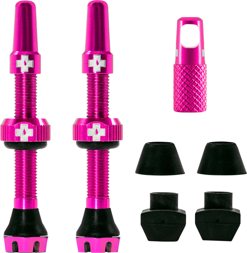 V2 Tubeless Valve Kit