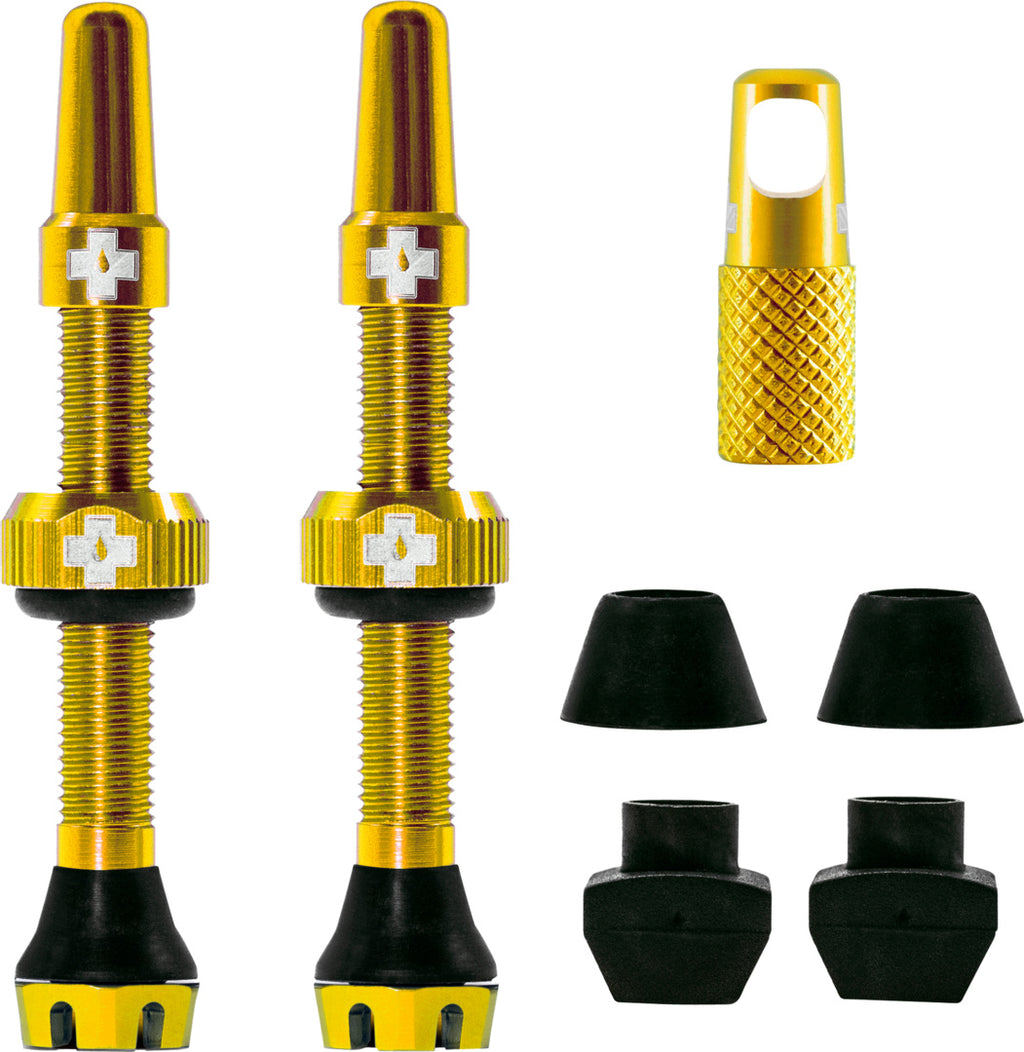 V2 Tubeless Valve Kit
