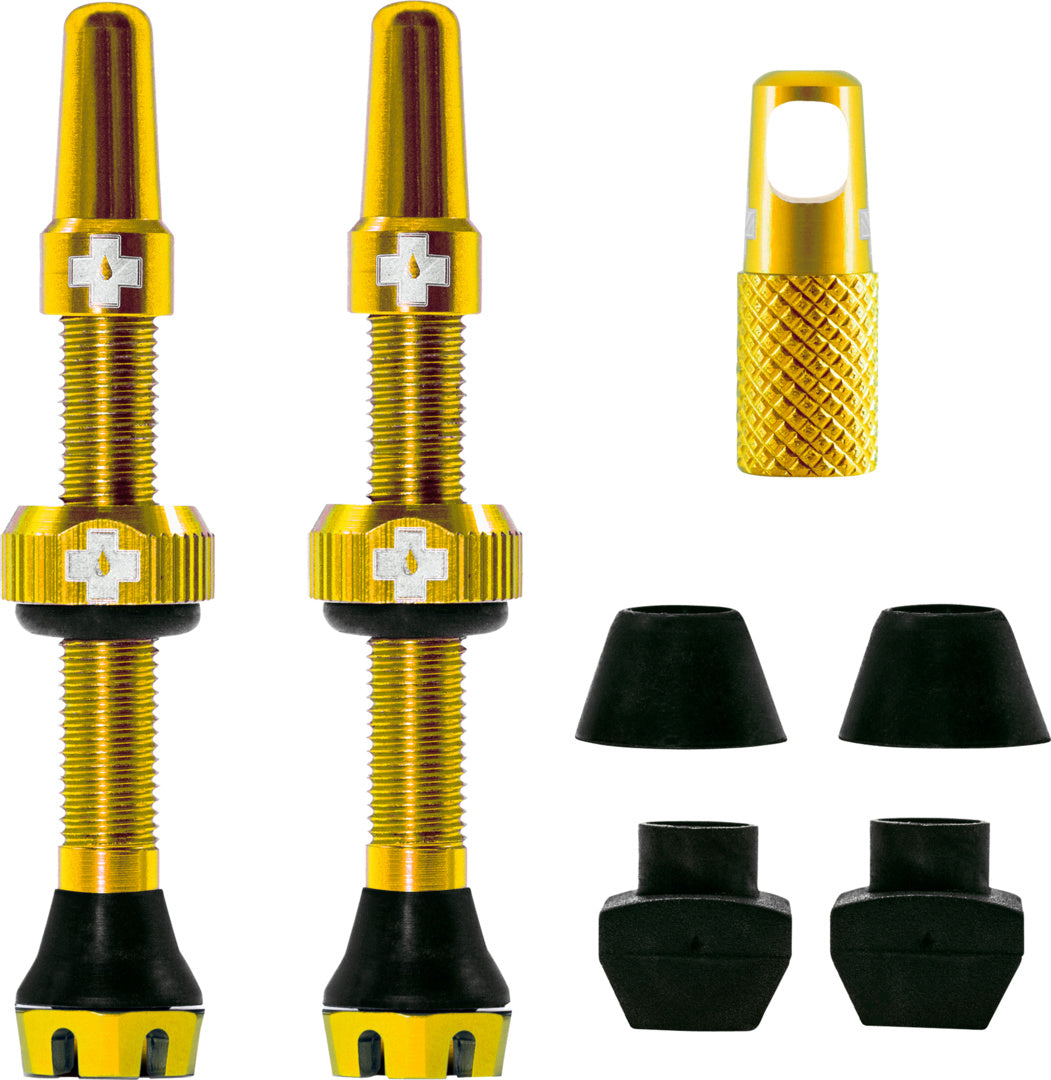 V2 Tubeless Valve Kit