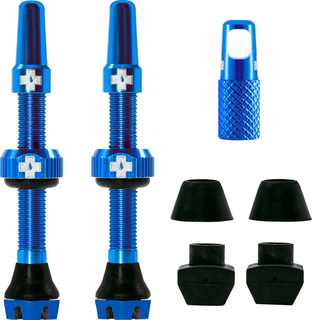 V2 Tubeless Valve Kit