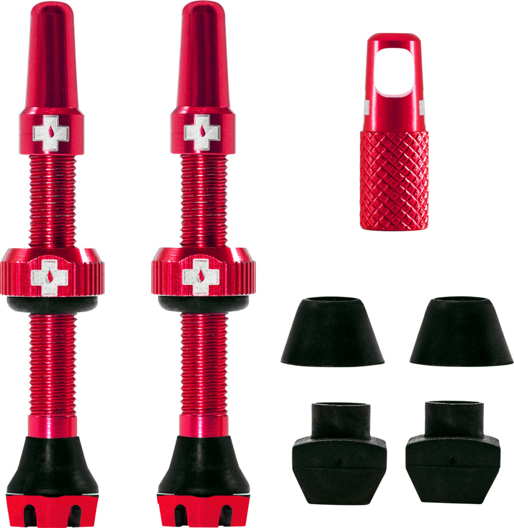 V2 Tubeless Valve Kit