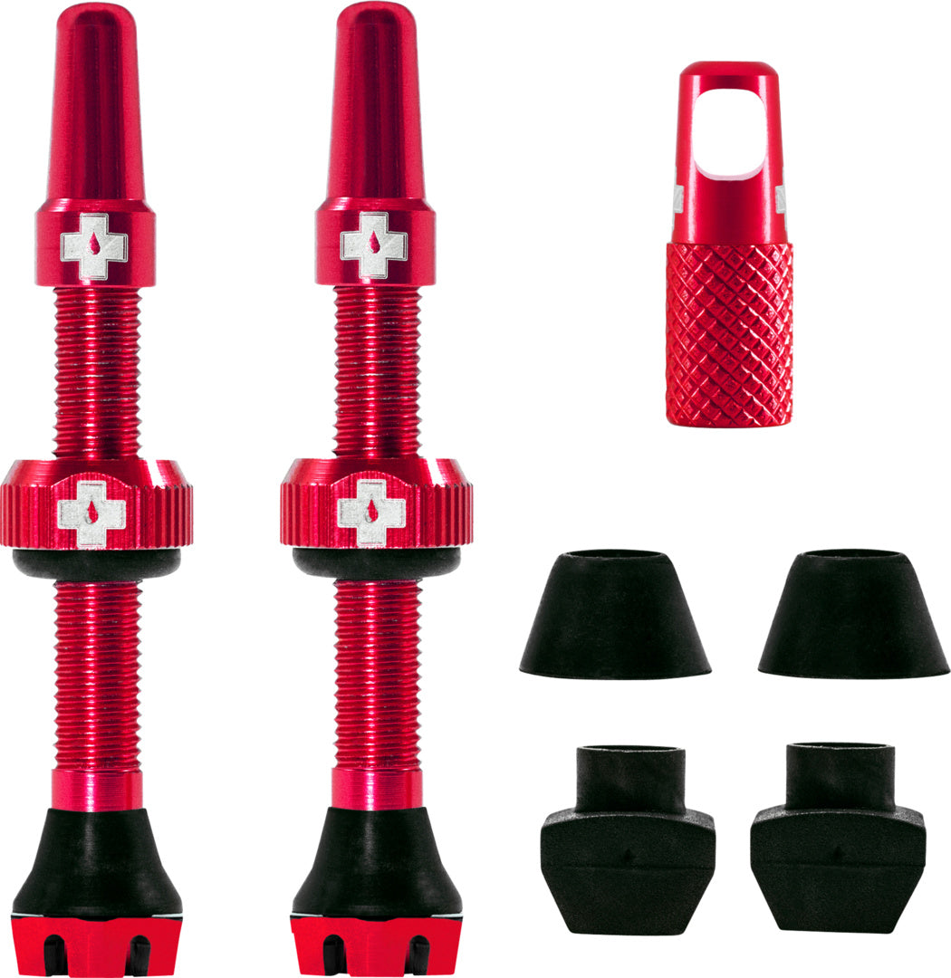 V2 Tubeless Valve Kit