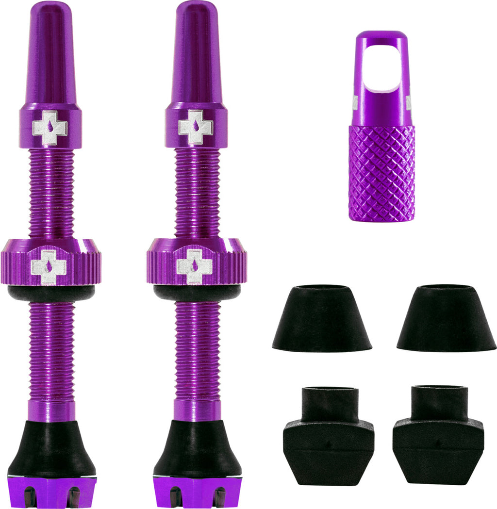 V2 Tubeless Valve Kit