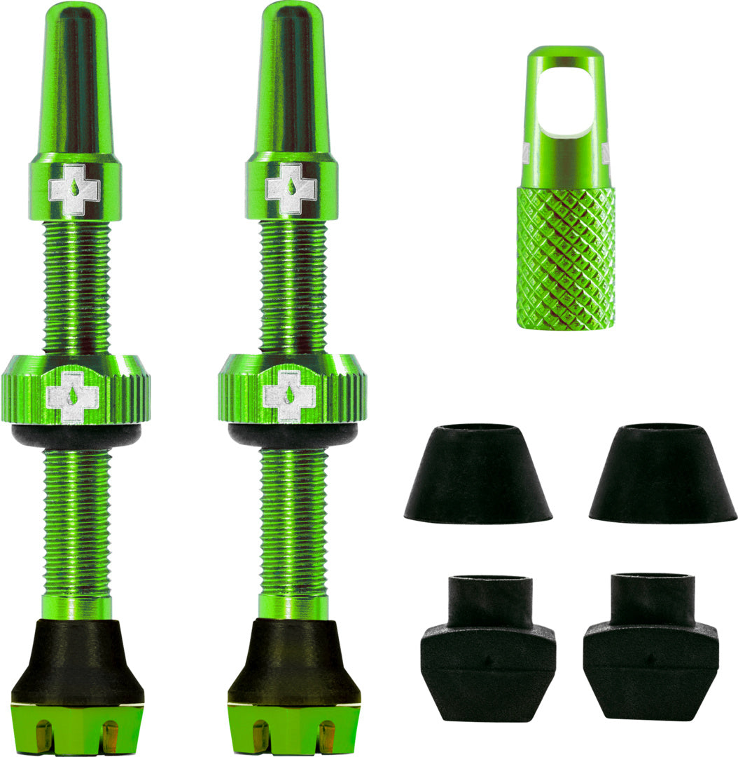V2 Tubeless Valve Kit