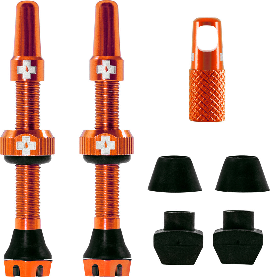 V2 Tubeless Valve Kit