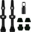 V2 Tubeless Valve Kit