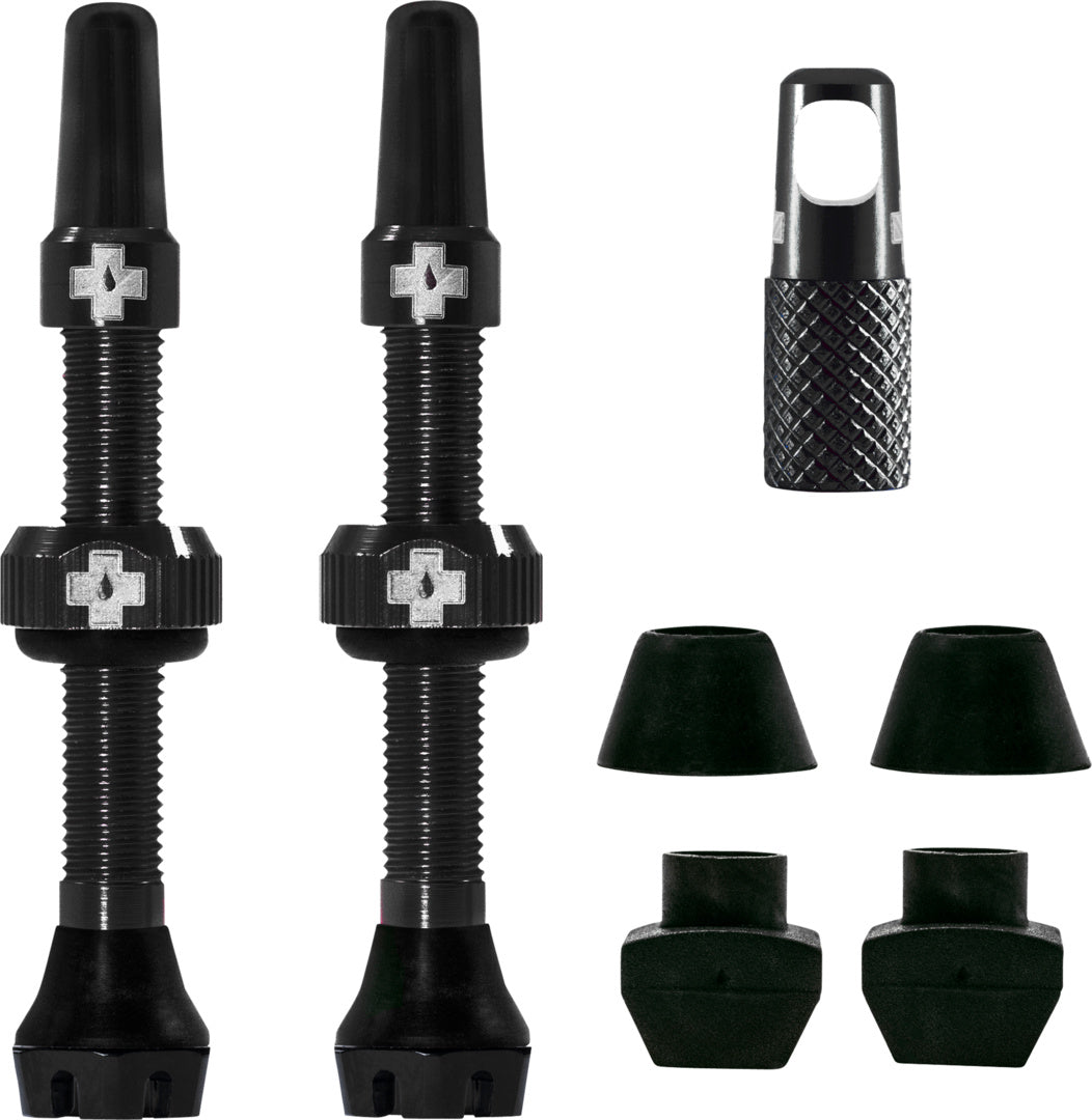 V2 Tubeless Valve Kit