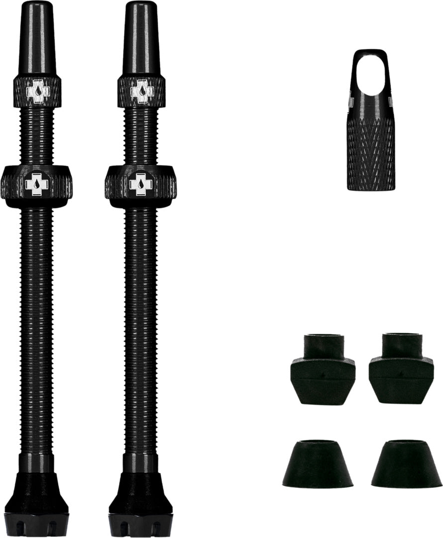 V2 Tubeless Valve Kit