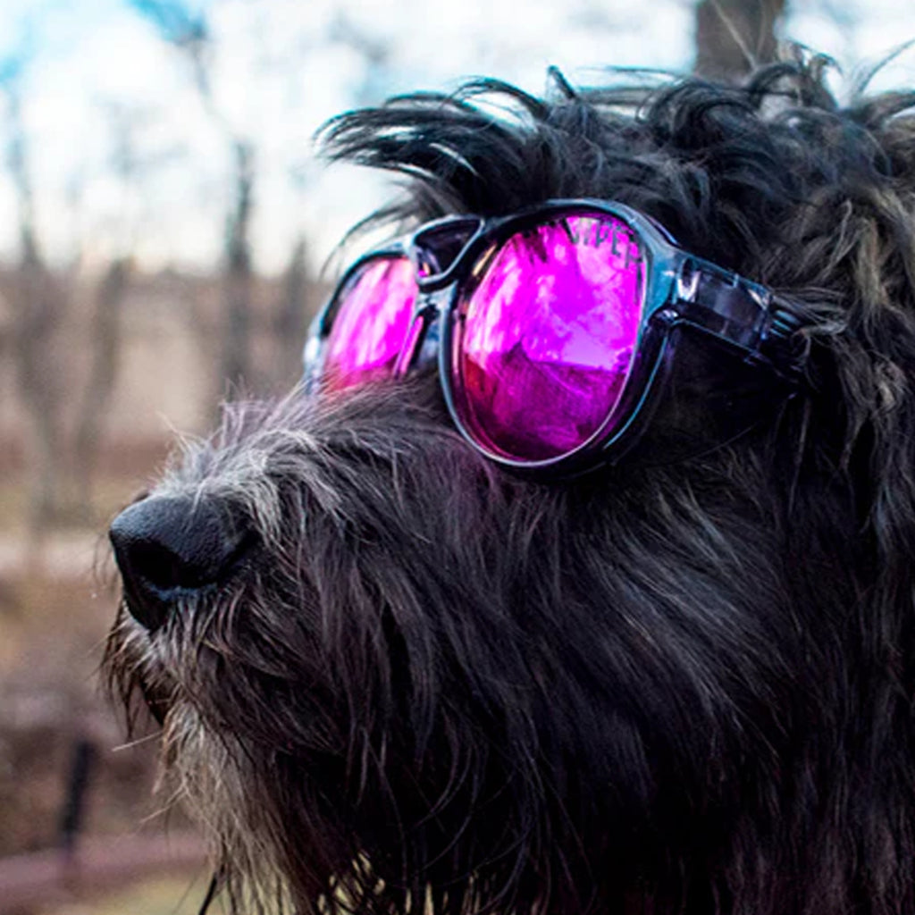 The Smoke Show Exciters Polarized