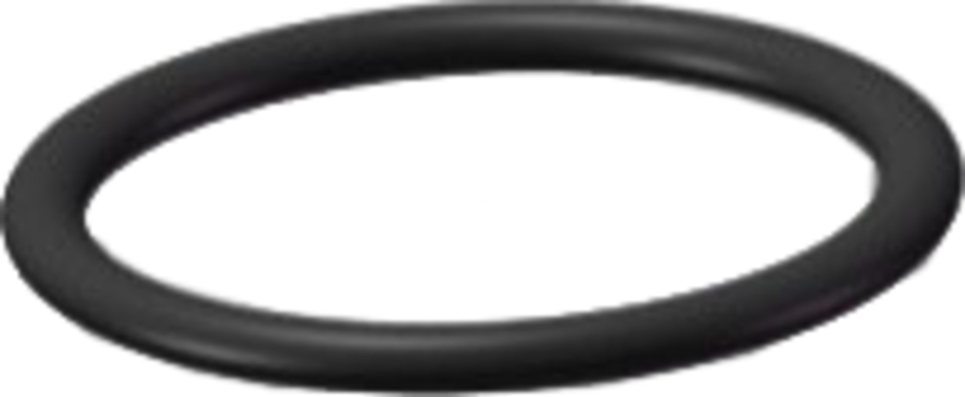 O-ring P2819