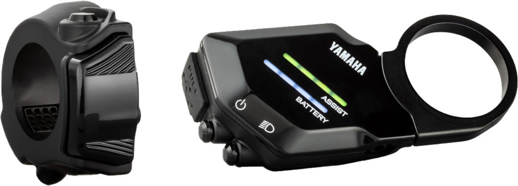 Display Interface X 2022