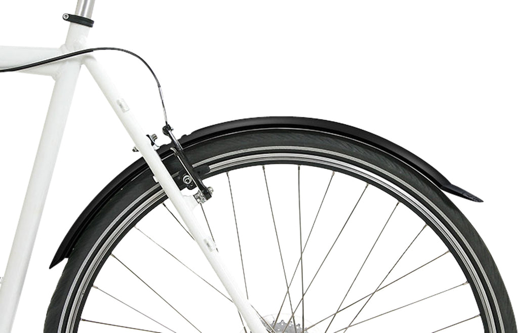 Taipan mudguard set