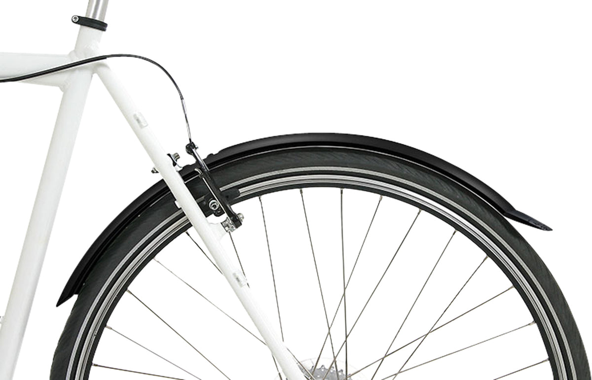 Taipan mudguard set