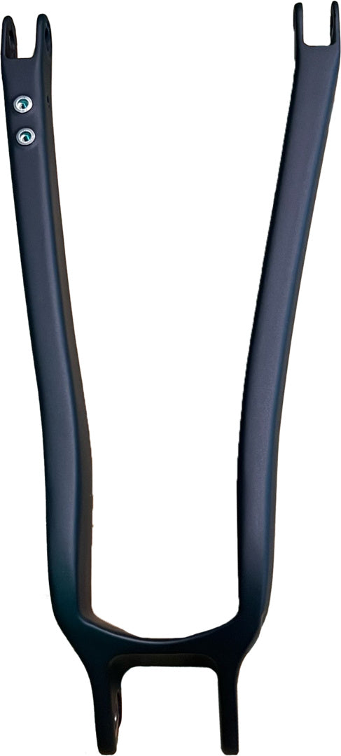 Chainstay Sign E Carbon
