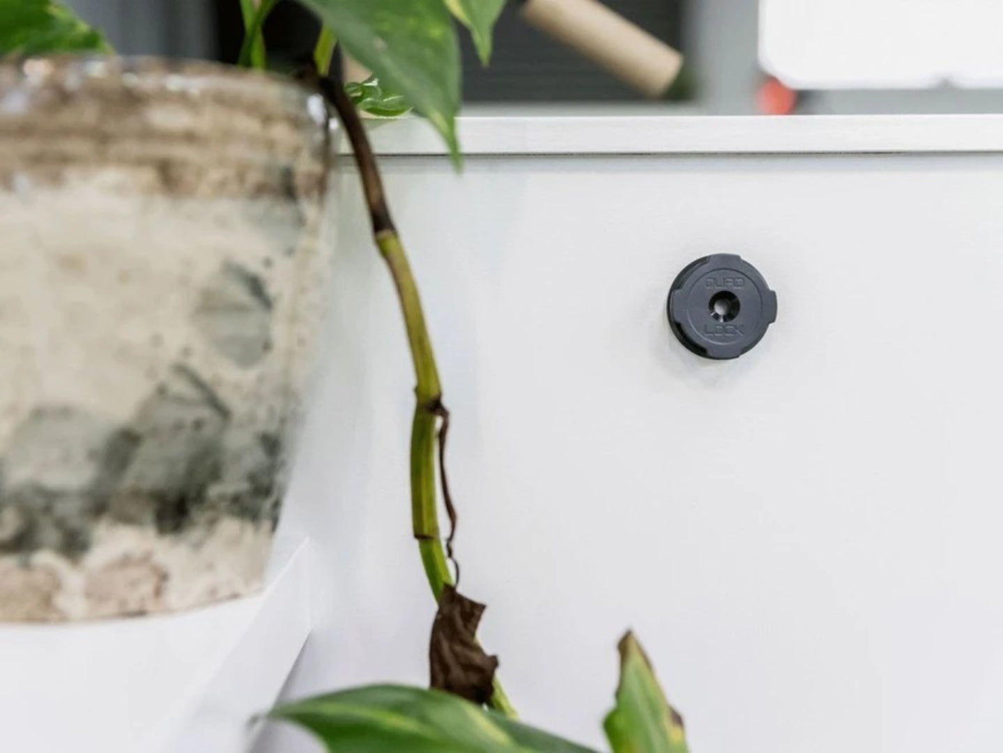 Adhesive Wall Mount V2