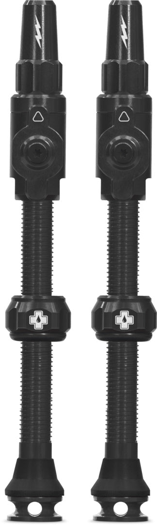Tubeless Valves Big Bore Lite