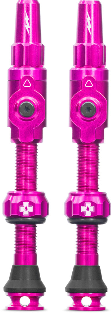Tubeless Valves Big Bore Lite