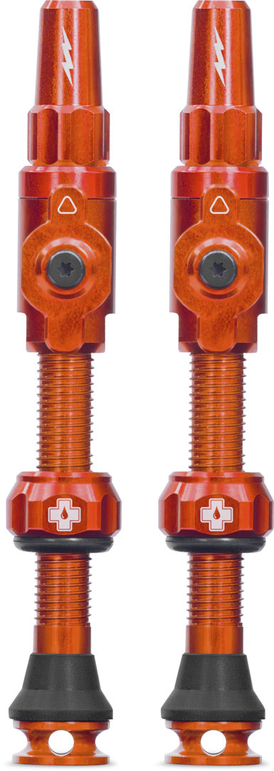 Tubeless Valves Big Bore Lite