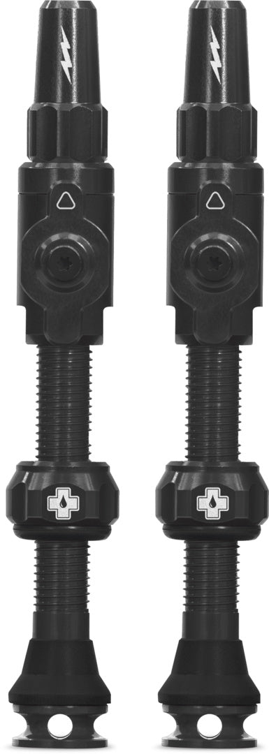 Tubeless Valves Big Bore Lite