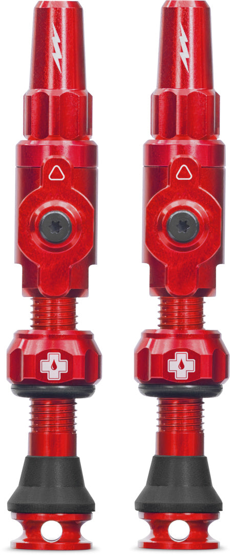Tubeless Valves Big Bore Lite