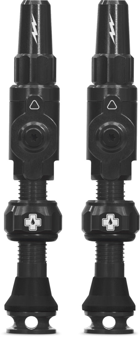 Tubeless Valves Big Bore Lite