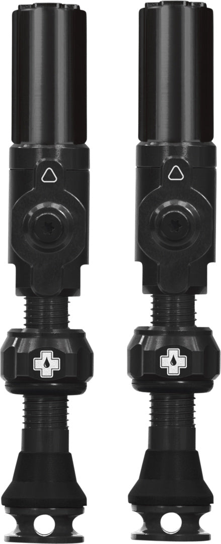 Tubeless Valves Big Bore Hybrid
