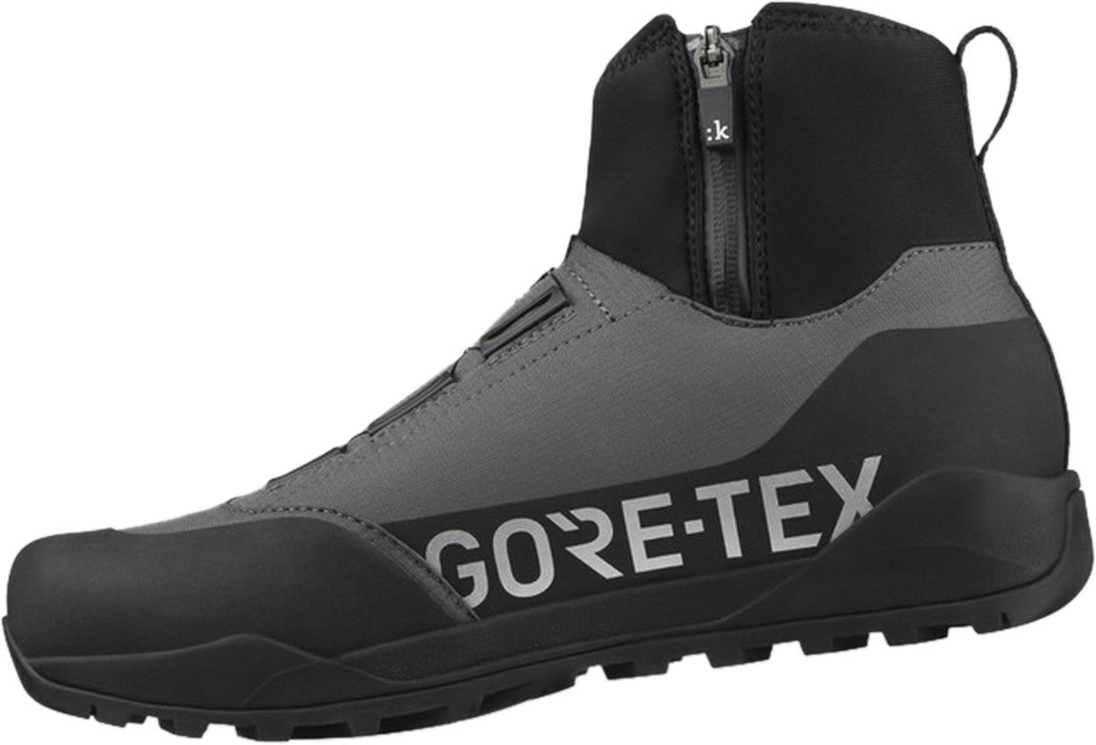 Nanuq GTX Shoes