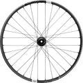 Synthesis balance bike Carbon E-Bike 29" IS 31.5 148x12 HG Ratchet