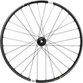 Synthesis wheel Carbon Enduro 29" IS 29.5 148x12 MS Ratchet