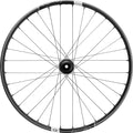 Synthesis wheel Carbon Enduro 29" IS 31.5 110x15