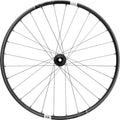 Synthesis wheel Carbon XCT 29" IS 26.5 110x15