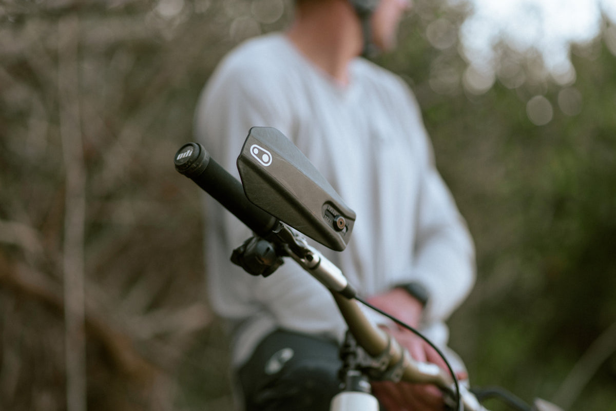 Guardian Handguards integrated mount
