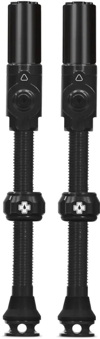 Tubeless Valves Big Bore Hybrid