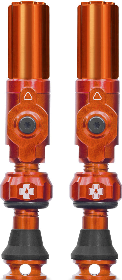 Tubeless Valves Big Bore Hybrid