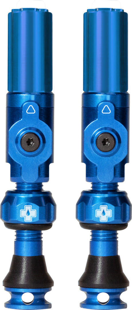 Tubeless Valves Big Bore Hybrid