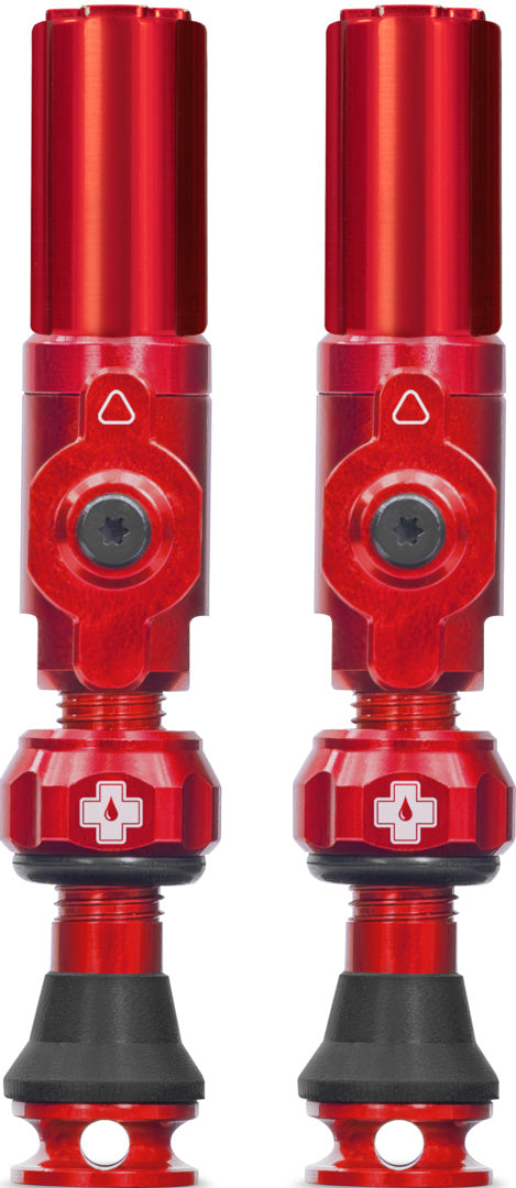 Tubeless Valves Big Bore Hybrid
