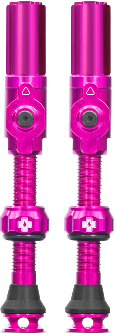 Tubeless Valves Big Bore Hybrid