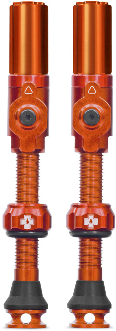 Tubeless Valves Big Bore Hybrid