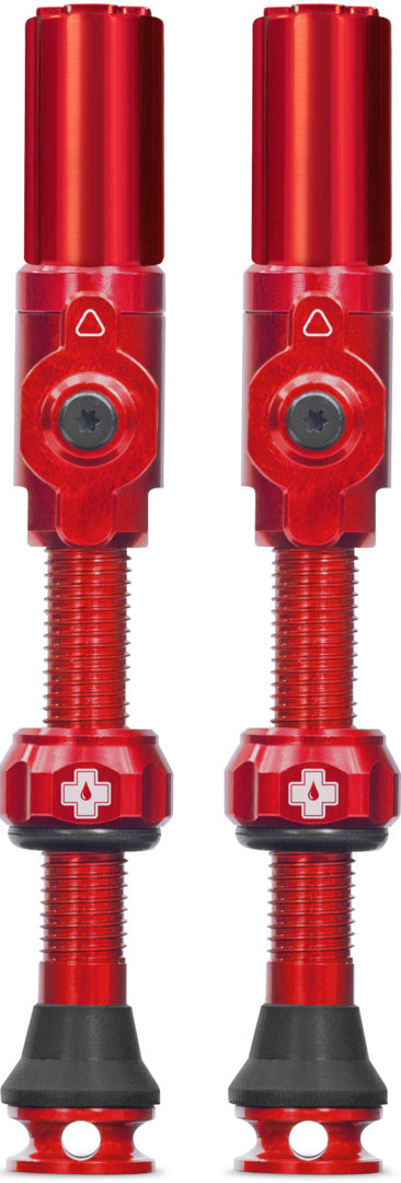 Tubeless Valves Big Bore Hybrid