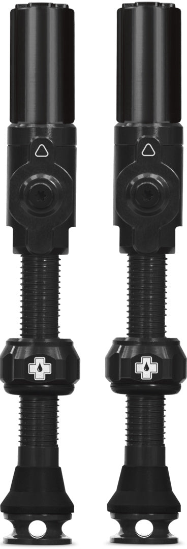 Tubeless Valves Big Bore Hybrid