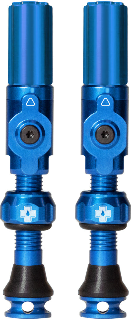 Tubeless Valves Big Bore Hybrid