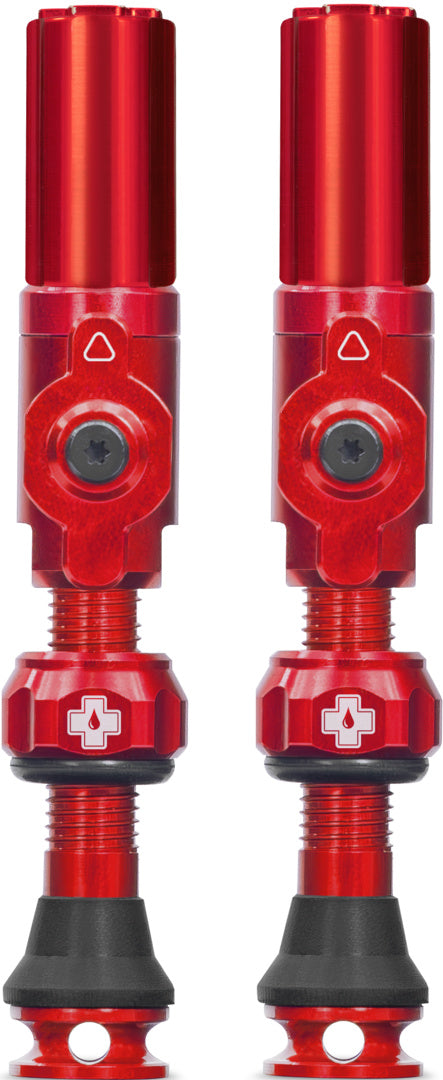 Tubeless Valves Big Bore Hybrid