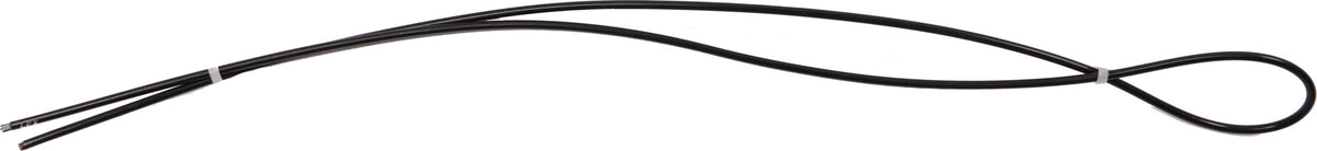 Main control cable display motor